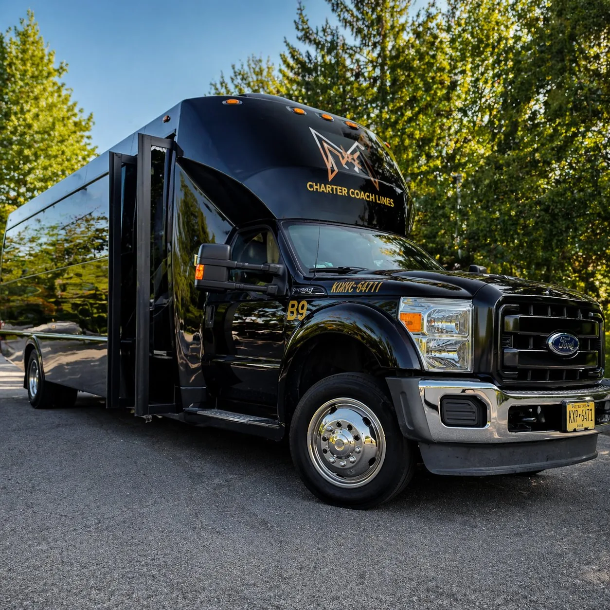 18 Passenger Minibus